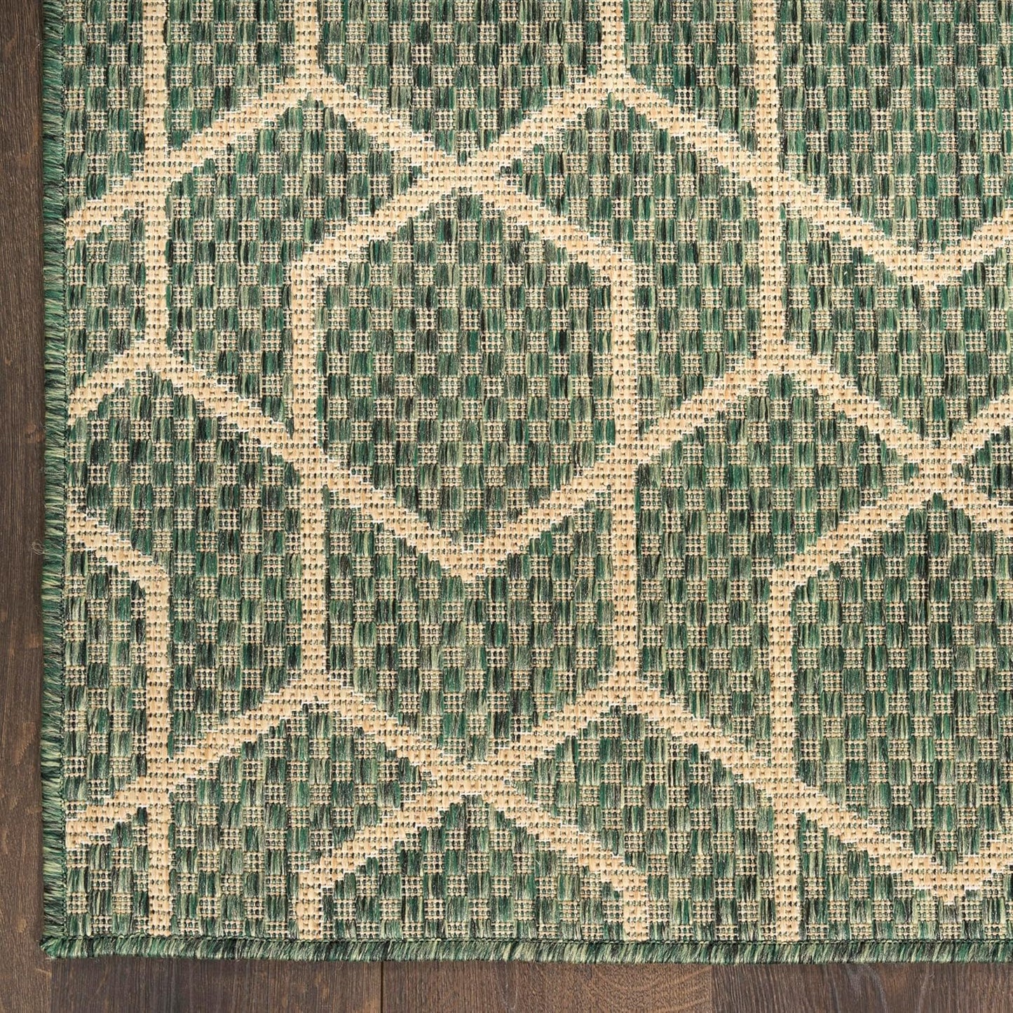Nourison Horizon Indoor/Outdoor Green 4' x 6' Area Rug - Easy Cleaning, Non Shedding, Bed Room, Living Room, Dining Room, Kitchen (4' x 6')